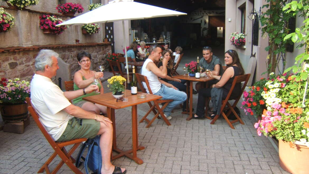 Winery tour and tasting in Alsace
